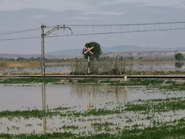 Crecida del Ebro en la Ribera Baja Crecida del Ebro en la Ribera Baja