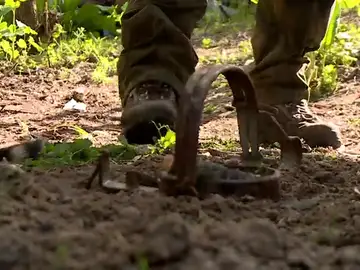 Los detectives de la naturaleza Los detectives de la naturaleza