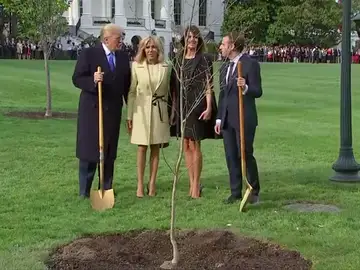 Emmanuel Macron regala un roble del bosque de Belleau a DonaldTrump Emmanuel Macron regala un roble del bosque de Belleau a DonaldTrump