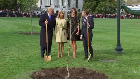 Emmanuel Macron regala un roble del bosque de Belleau a DonaldTrump Emmanuel Macron regala un roble del bosque de Belleau a DonaldTrump