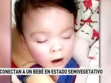 BEBE BEBE