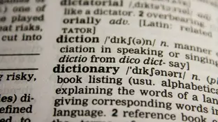 Diccionario Diccionario
