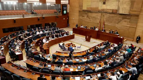 Vista general del pleno de la Asamblea de Madrid Vista general del pleno de la Asamblea de Madrid