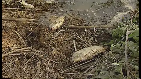 La balsa de residuos de Aznalcóllar se rompiá hace veinte años La balsa de residuos de Aznalcóllar se rompiá hace veinte años