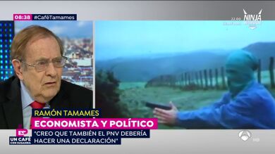 Ramón Tamames: 