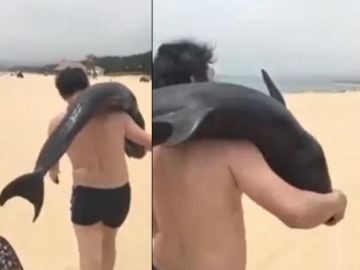 Un hombre pasea con un delfín al hombro