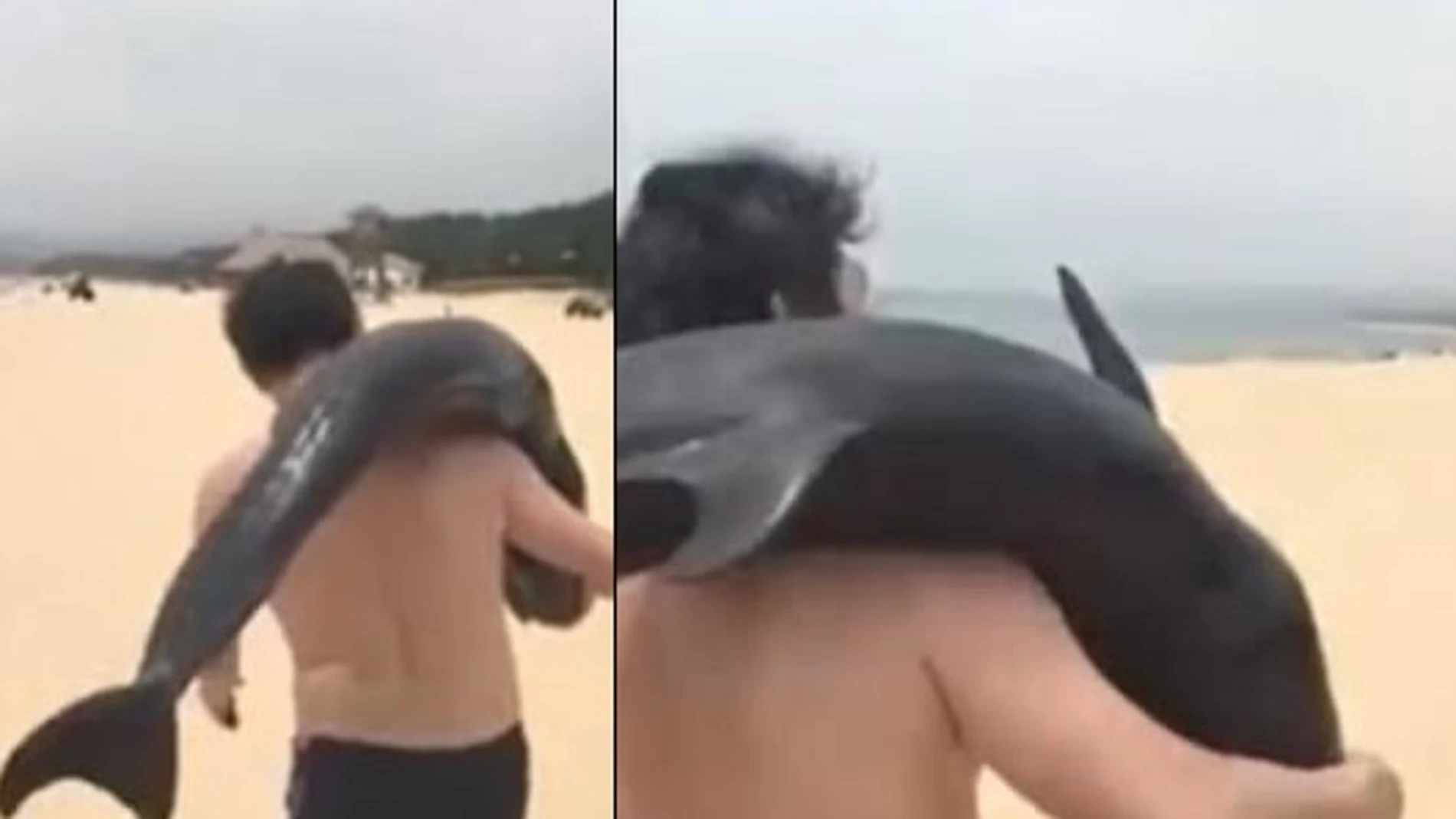 Un hombre pasea con un delfín al hombro Un hombre pasea con un delfín al hombro