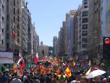 Manifestación policías y guardias civiles en Madrid Manifestación policías y guardias civiles en Madrid