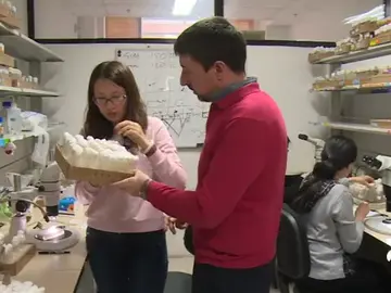 cientificos cientificos