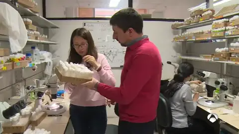 cientificos cientificos