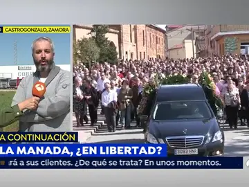 zamora zamora