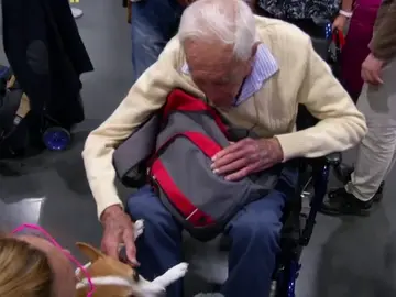 El australiano David Goodall llega a Suiza para someterse a una eutanasia pese a no padecer una enfermedad terminal El australiano David Goodall llega a Suiza para someterse a una eutanasia pese a no padecer una enfermedad terminal