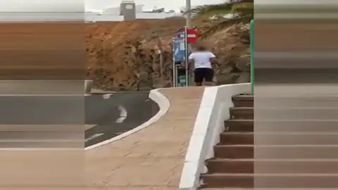 Pasea destrozando los vehículos que se cruzan en su camino Pasea destrozando los vehículos que se cruzan en su camino