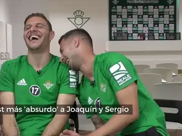 El test más absurdo del Betis a Joaquín: "¿Qué hace un gorrión con 350 kilos en la rama de un árbol?" El test más absurdo del Betis a Joaquín: "¿Qué hace un gorrión con 350 kilos en la rama de un árbol?"