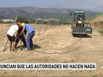 BODEGUEROS - NUEVA BODEGUEROS - NUEVA