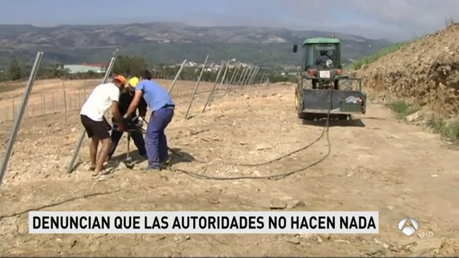 Los bodegueros y viticultores de Ourense, atemorizados por los robos en sus campos 