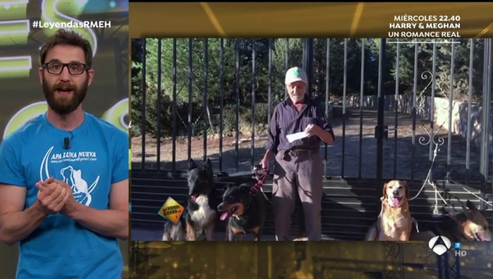 Dani Rovira busca familia para Quickly, Pelufra y Morita, dos de ellas, necesitan una adopción conjunta