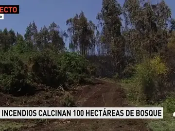 galiciafuego galiciafuego