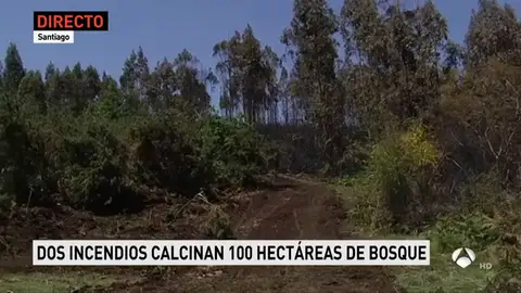 galiciafuego galiciafuego