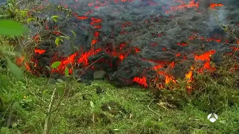 kilauea kilauea