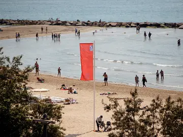 La 'Carabela portuguesa' provoca el cierre de las playas en Alicante La 'Carabela portuguesa' provoca el cierre de las playas en Alicante