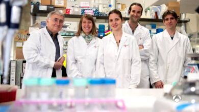 Un grupo de investigadores descifra cómo funciona el genoma de la leucemia más frecuente