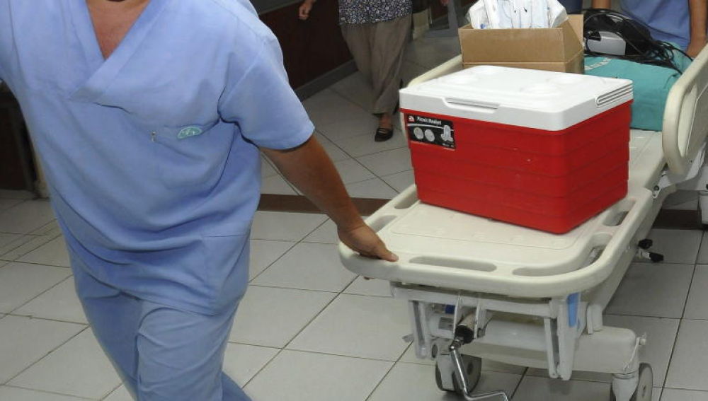 Personal sanitario transporta una nevera portadora de un órgano para un trasplante
