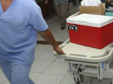 Personal sanitario transporta una nevera portadora de un órgano para un trasplante Personal sanitario transporta una nevera portadora de un órgano para un trasplante