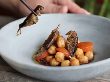 Insectos para comer Insectos para comer