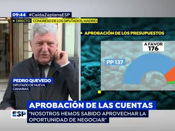 Pedro Quevedo, diputado de Nueva Canarias, Pedro Quevedo, diputado de Nueva Canarias,