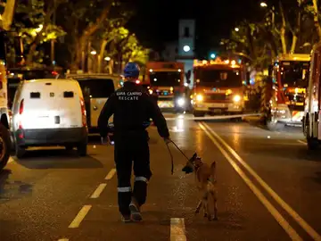 Miembros de la patrulla canina se dirigen al edificio derrumbado Miembros de la patrulla canina se dirigen al edificio derrumbado