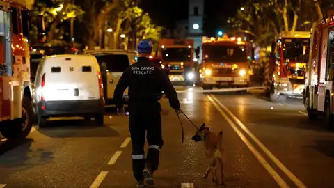 Miembros de la patrulla canina se dirigen al edificio derrumbado Miembros de la patrulla canina se dirigen al edificio derrumbado