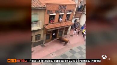 Un toro se lanza hacia un grupo de personas durante las fiestas de Benavente (Zamora)