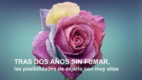 Día Mundial Sin Tabaco: estos son algunos datos que no conocías Día Mundial Sin Tabaco: estos son algunos datos que no conocías