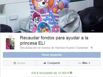 Página de la recaudación de fondos Página de la recaudación de fondos