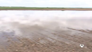<p>Agua y granizo acaban con las cosechas</p>
