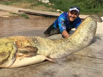 El pescador con el siluro El pescador con el siluro