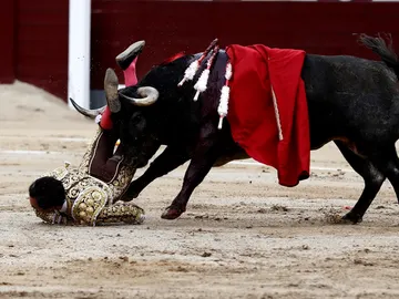"El Cid", intervenido de una cornada grave en el muslo derecho "El Cid", intervenido de una cornada grave en el muslo derecho