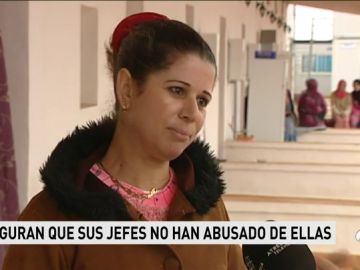 Más de cien temporeras de Huelva dicen que sus compatriotas "denuncian por abusos sexuales a cambio de papeles" Más de cien temporeras de Huelva dicen que sus compatriotas "denuncian por abusos sexuales a cambio de papeles"