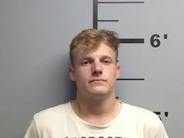 Stephen Koch Stephen Koch
