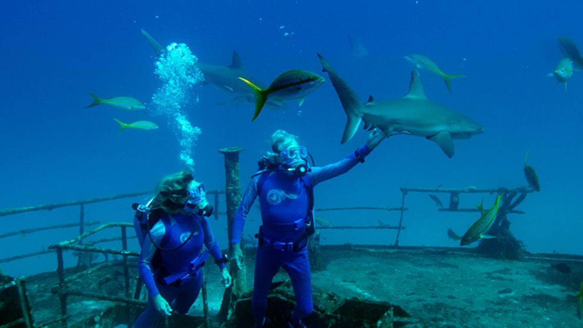 Las maravillas del mar