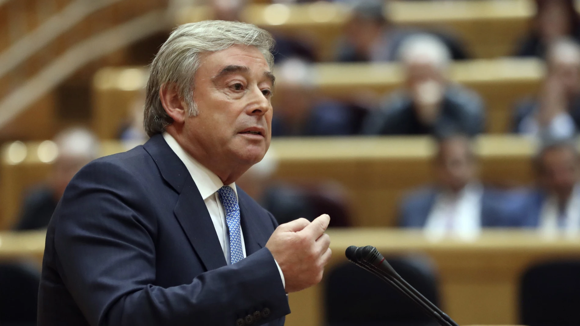 El portavoz del PP en el Senado, José Manuel Barreiro El portavoz del PP en el Senado, José Manuel Barreiro