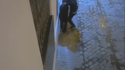 Desarticulada una banda que robaba en hoteles y viviendas de Sevilla Desarticulada una banda que robaba en hoteles y viviendas de Sevilla