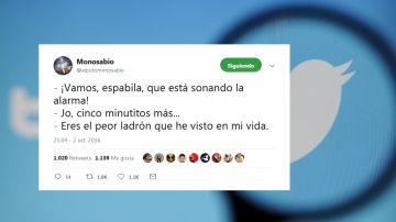 Tuit de Monosabio
