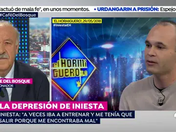 delbosque_iniesta delbosque_iniesta