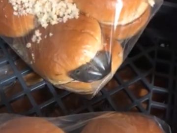 Un ratón dentro de una bolsa de pan de hamburguesa