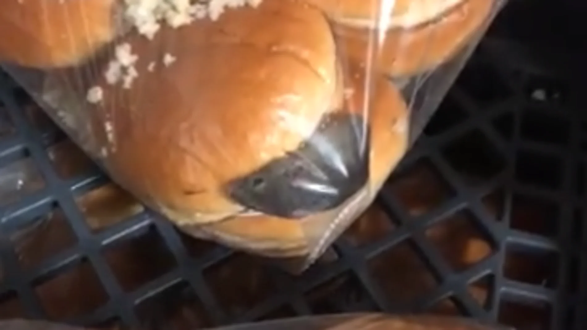 Un ratón dentro de una bolsa de pan de hamburguesa Un ratón dentro de una bolsa de pan de hamburguesa