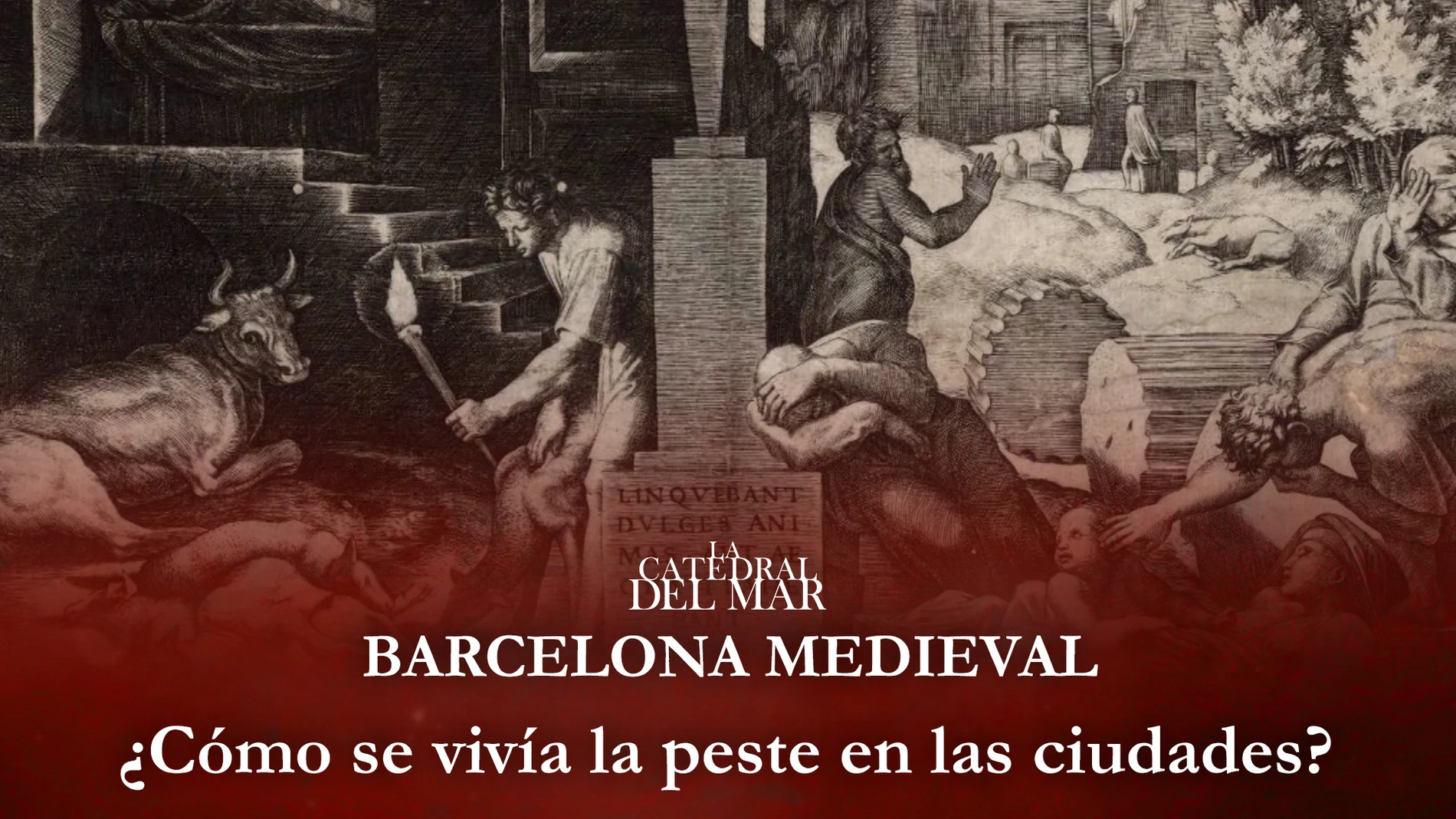 La peste, una enfermedad nueva en la época medieval