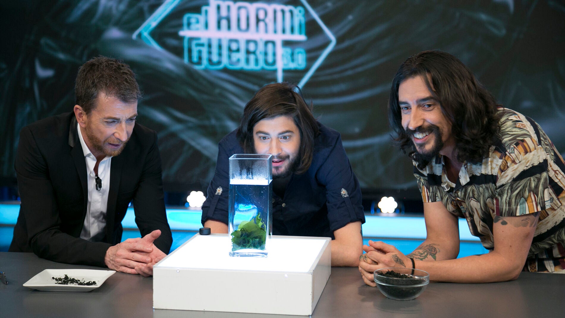 Salvador Sobral, at&oacute;nito ante el poder de resurrecci&oacute;n del alga wakame