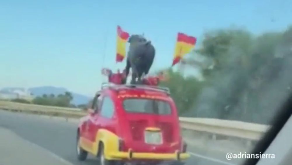 El coche "más español y muy español" circula ya por las carreteras andaluzas apoyando a la selección